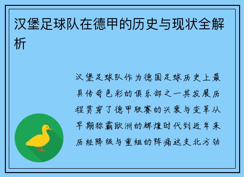 汉堡足球队在德甲的历史与现状全解析