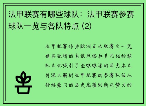 法甲联赛有哪些球队:法甲联赛参赛球队一览与各队特点 (2)