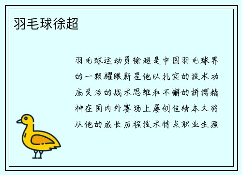 羽毛球徐超