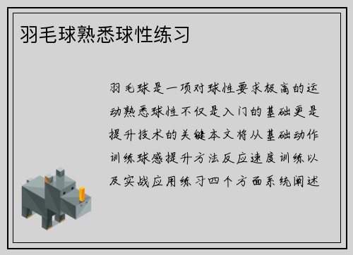羽毛球熟悉球性练习